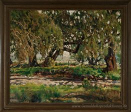 Rand der Oak Grove