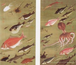 Krake und Fische