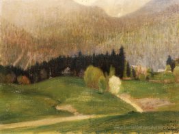 Landschaft mit Tannen