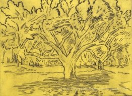 Big Tree und Distant Zahlen