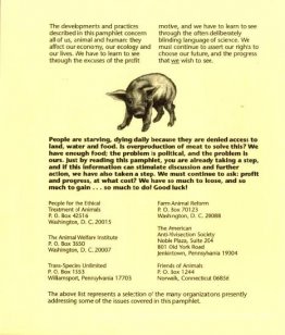 Schweinefleisch 11