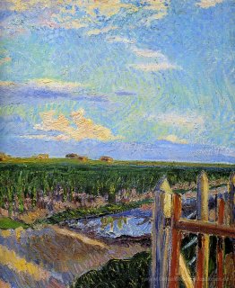 Landschaft