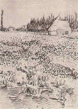 Landschaft mit Hut in der Camargue