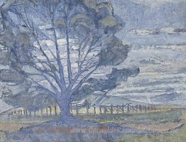 Willunga Landschaft