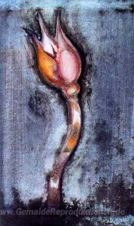 Blume