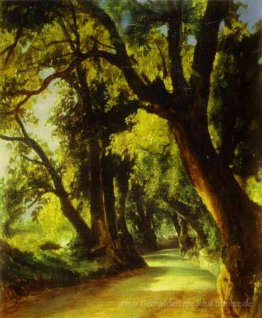 Eine Gasse in Albano