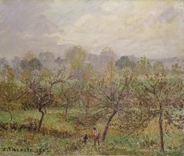 Herbst, Morgennebel, Éragny-sur-Epte