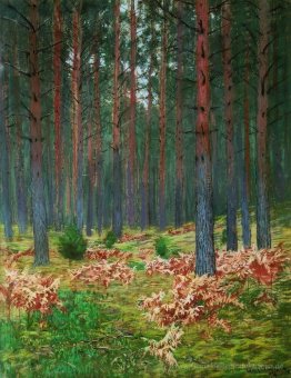 Landschaft mit Farnen