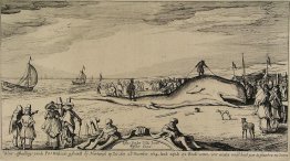 Pottwal auf den Strand von Noordwijk