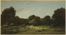 Lichtung im hohen Wald von Fontainebleau Wald X, sagte der Waren