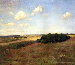 Sonnenlicht und Schatten, Shinnecock Hills