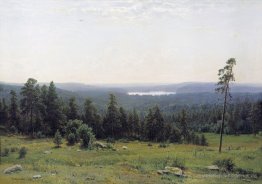 Der Wald Horizons