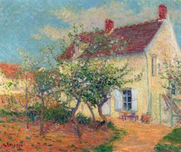 Haus auf dem Land