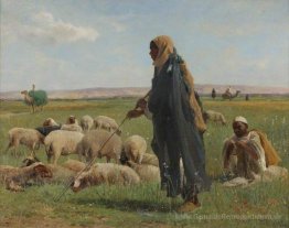 Arabische Shepherds