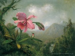 Orchid und Hummingbird in der Nähe eines Mountain Waterfall