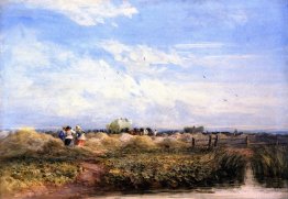 Das Hayfield