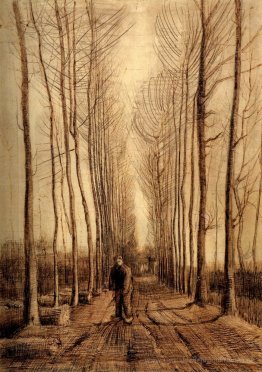 Allee der Pappeln