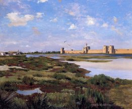 Landschaft von Aigues-Mortes