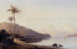A Creek in Saint Thomas, Antillen