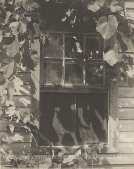 Die Studio-Fenster