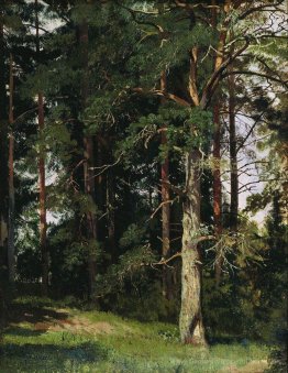 Wald