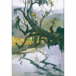 Alter Baum am Ufer des Flusses
