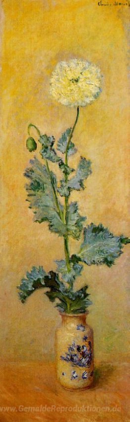 Weiße Mohnblumen-