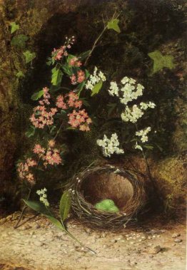 Still Life of Birds Nest mit Primeln und Blossom