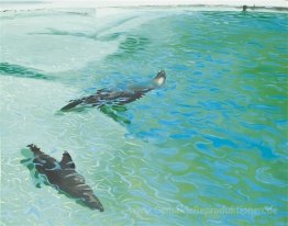 Otaries dans l'eau