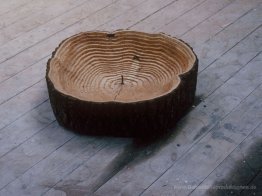 Letzte Baum