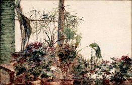 Pots De Fleurs À Sèvres
