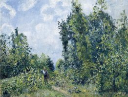 Wanderer in der Nähe der Holz