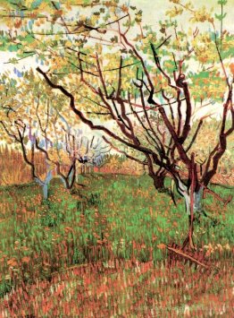 Blühender Obstgarten
