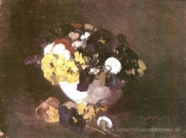 Stiefmütterchen