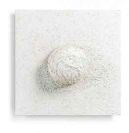 Entité erektile