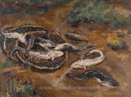 Stillleben. Burbot im Boden.