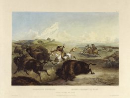 Indianer Jagd der Bisons, Platte 31 von Band 2 der "Reise in das