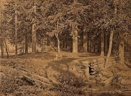 Edge of the Forest (Fichtenwald)