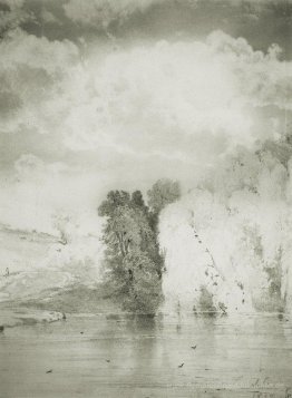 Bäume in der Nähe des Sees