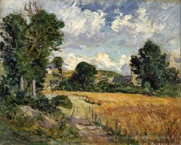 Cornfield im Tal von Saint-Jean-du-Doigt