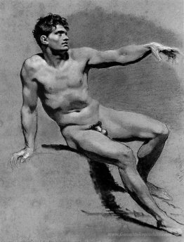 Academic Male Nude