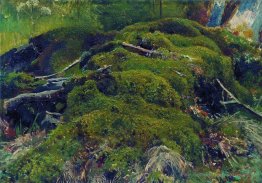 Moos. Wurzeln
