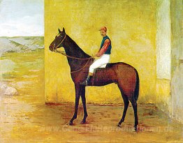 Jockey und Pferd