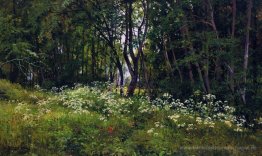 Blumen am Waldrand
