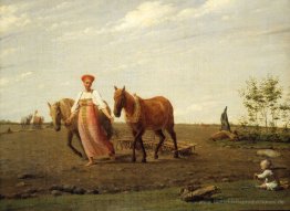 In den Bereichen. Feder