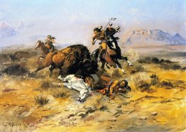 Büffel-Jagd