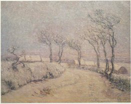 Landschaft im Schnee