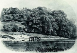 Herde am Ufer des Flusses