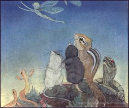 Illustration für Fairy Circus