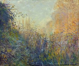 Study Rushes in Argenteuil